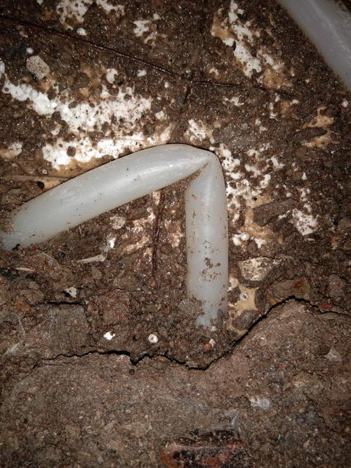 博罗堵点精准查找